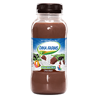 Chocolate Milk 250ML