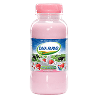 Strawberry Milk 250ML