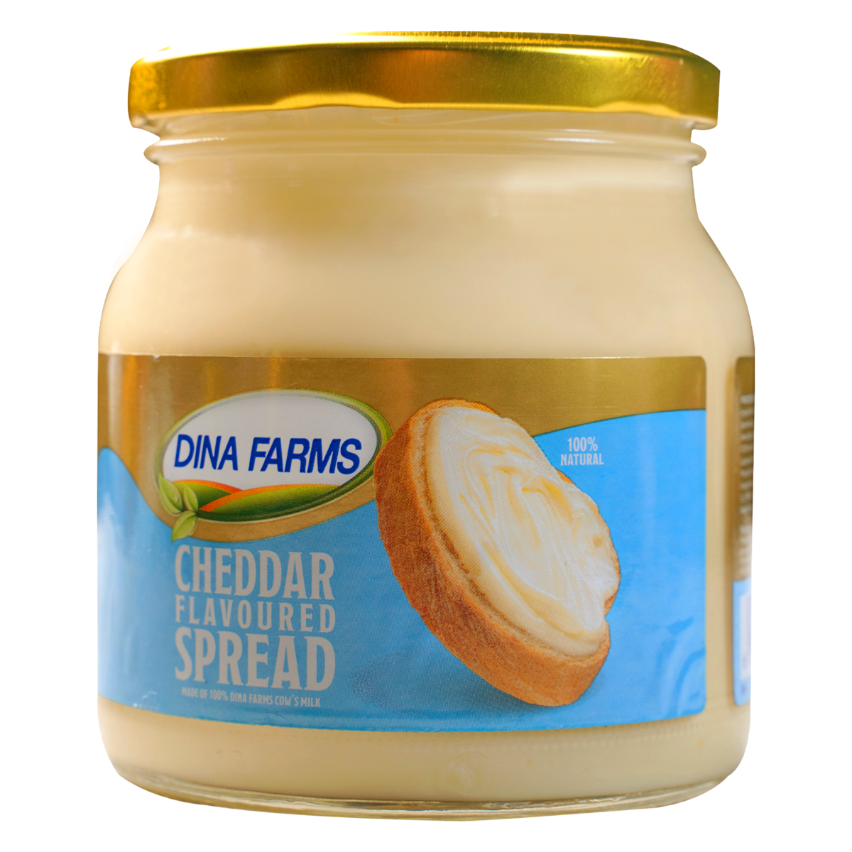 Cheddar Flavoured Spread 500g
