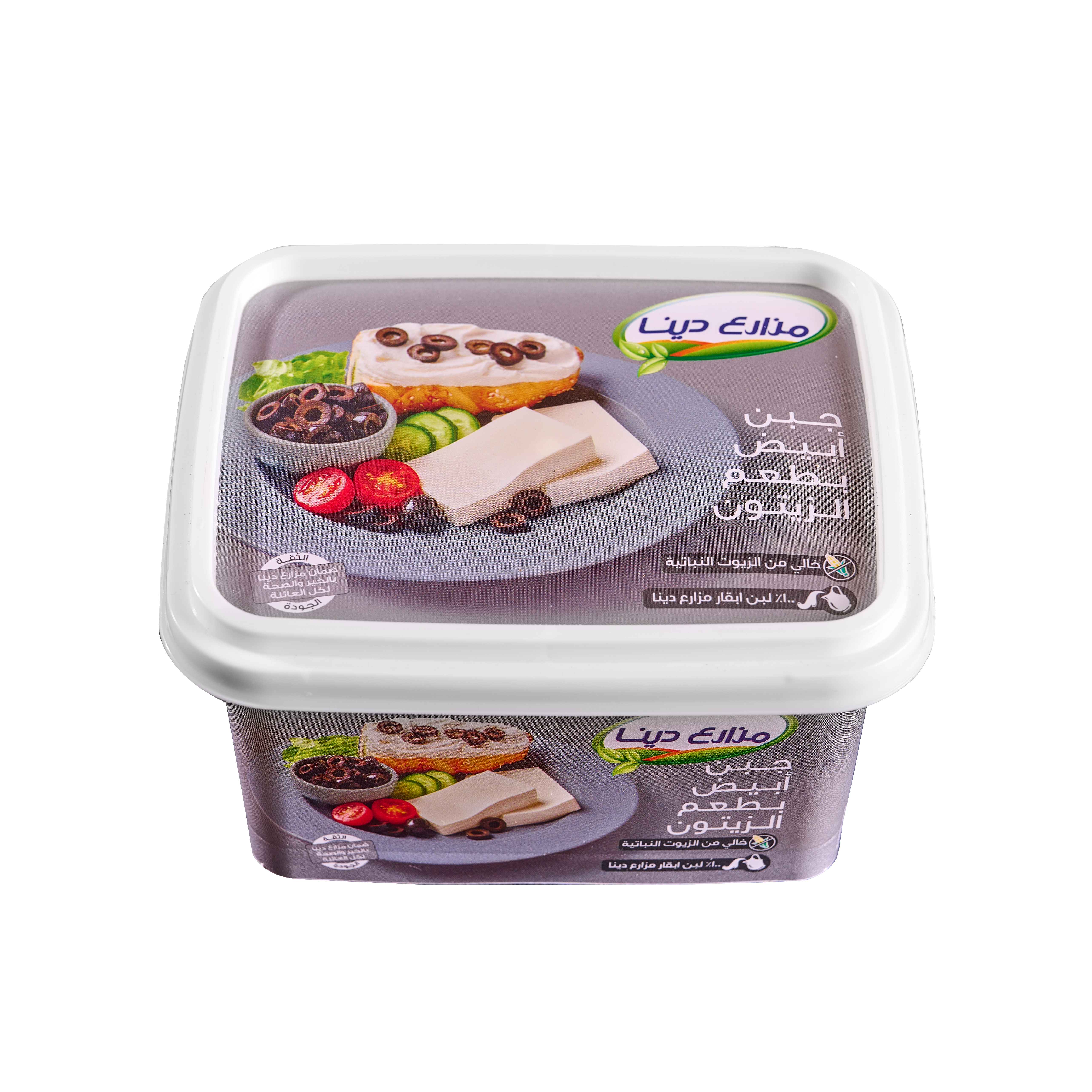 Olives Flavored White Cheese 450g