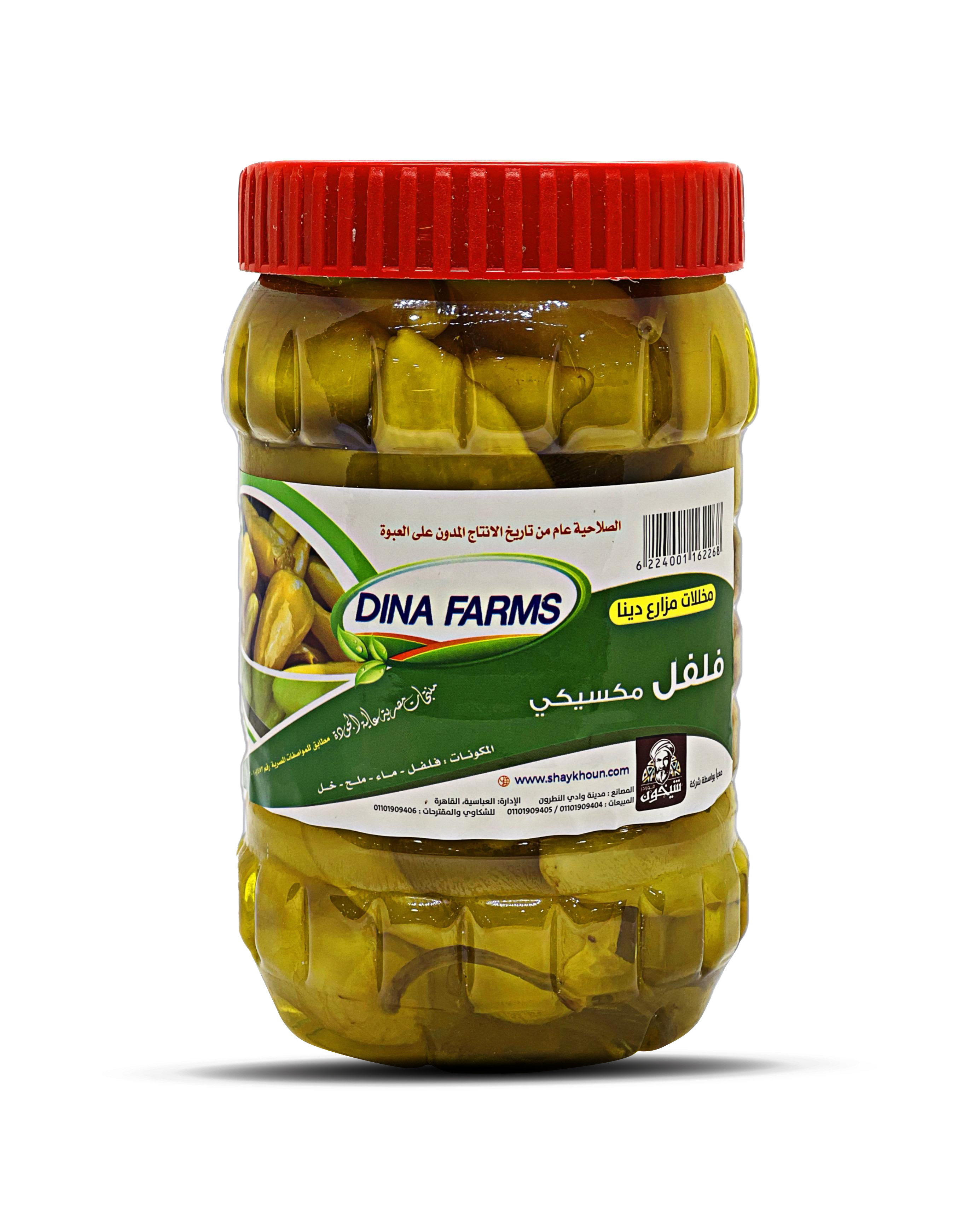Dina Foods Pickled Mexican Peppers (1kg)