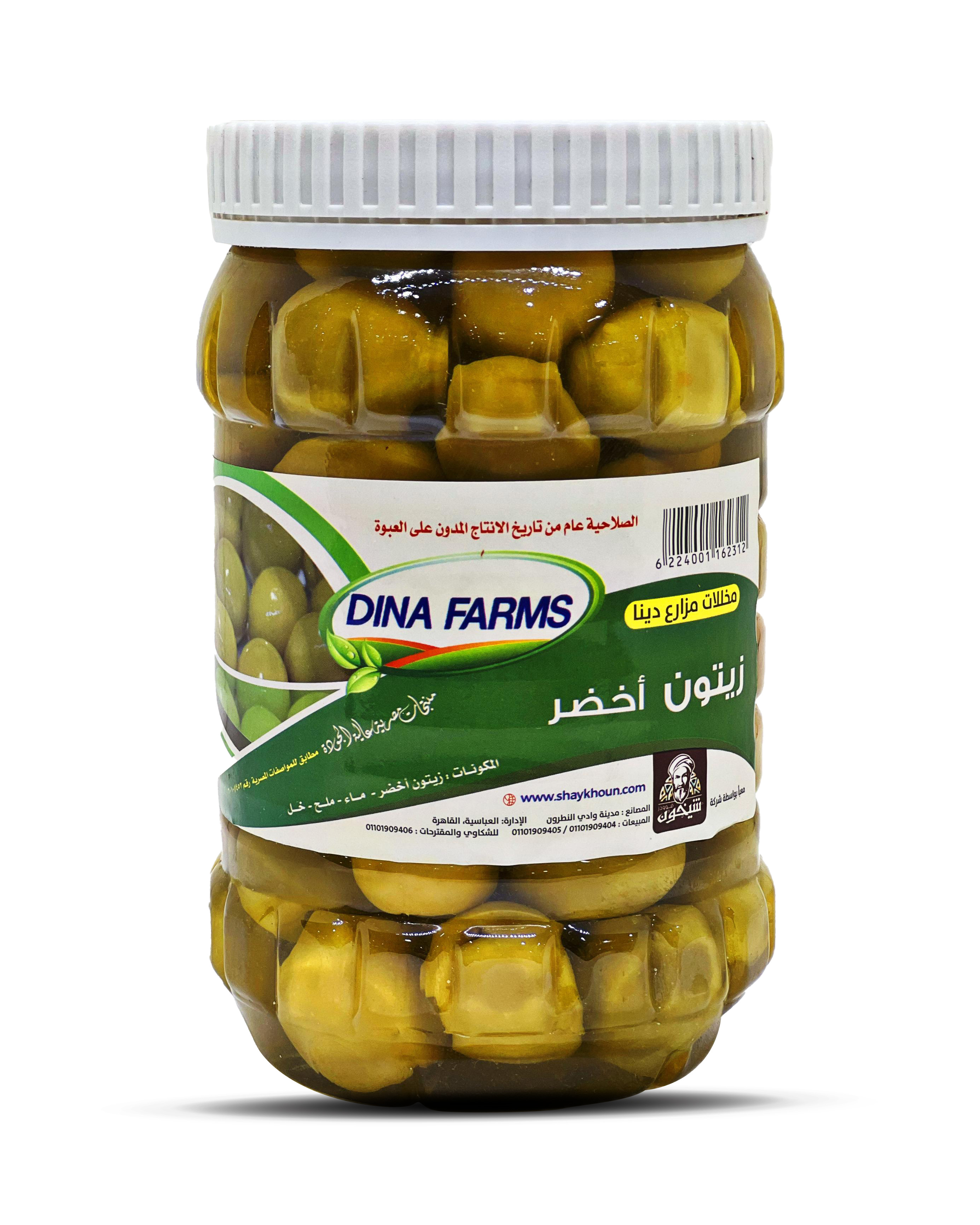 Dina Foods Green Olives (1kg)