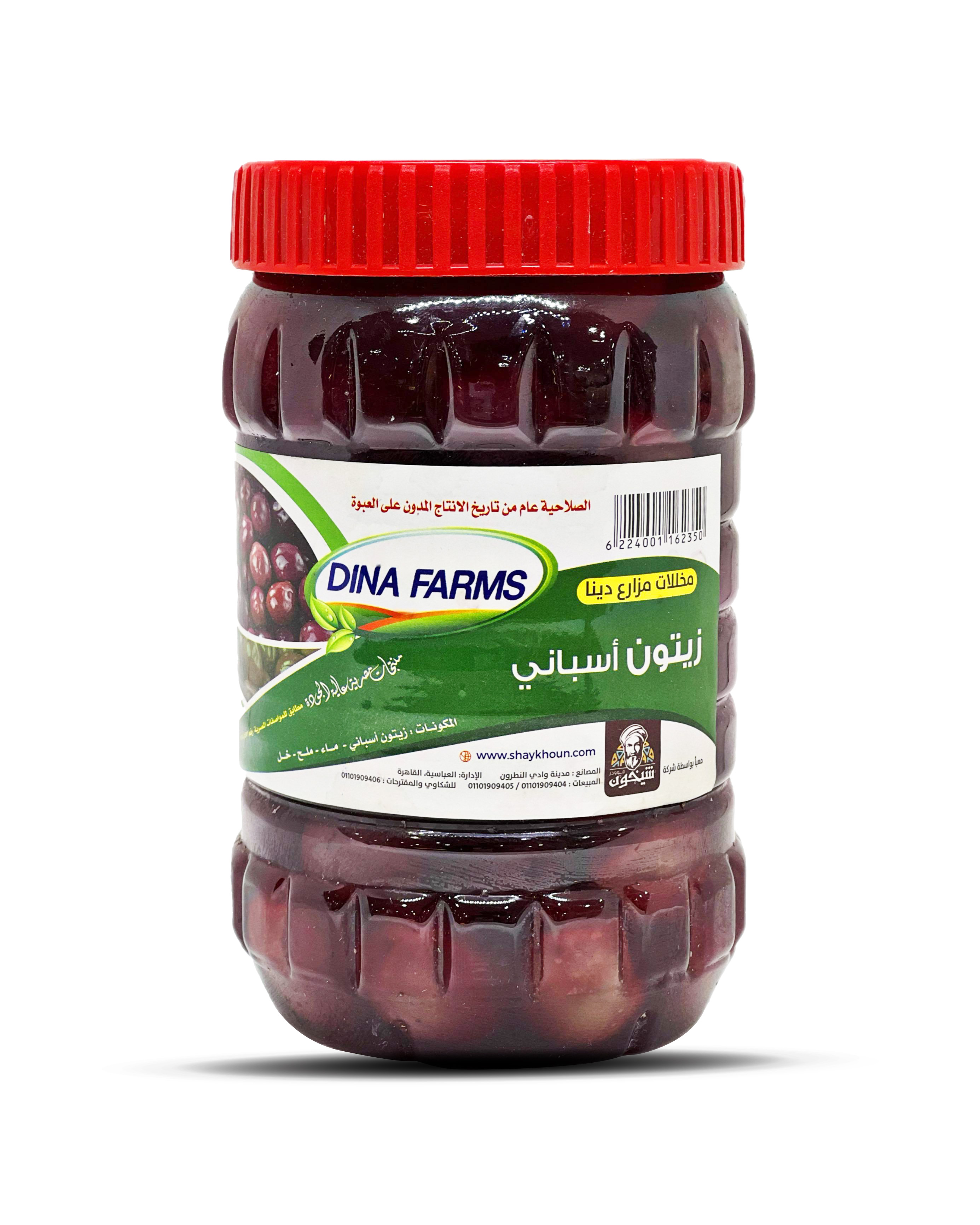 Dina Foods Spanish Green Olives 1kg