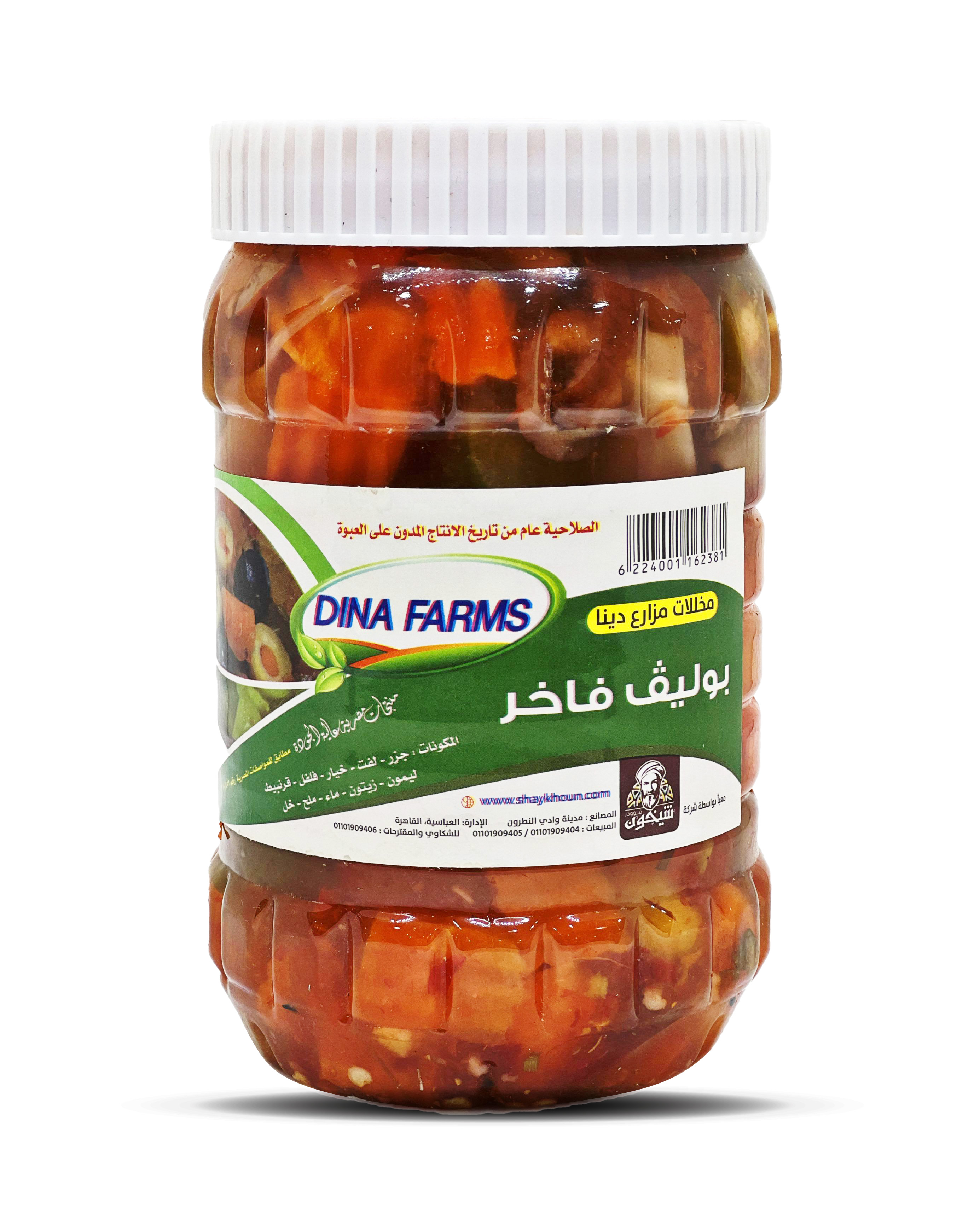 Dina Foods Premium Boliv Olives 1kg