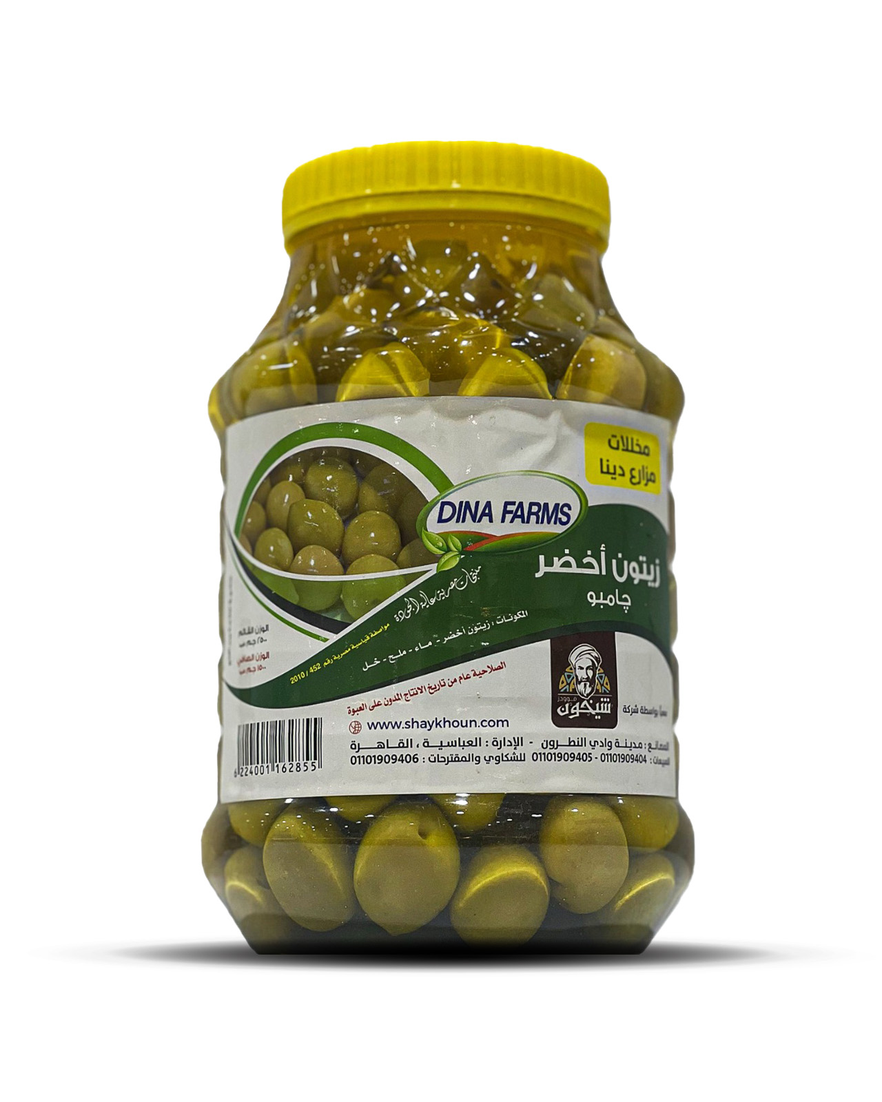 Dina Foods Green Olives 2.5kg